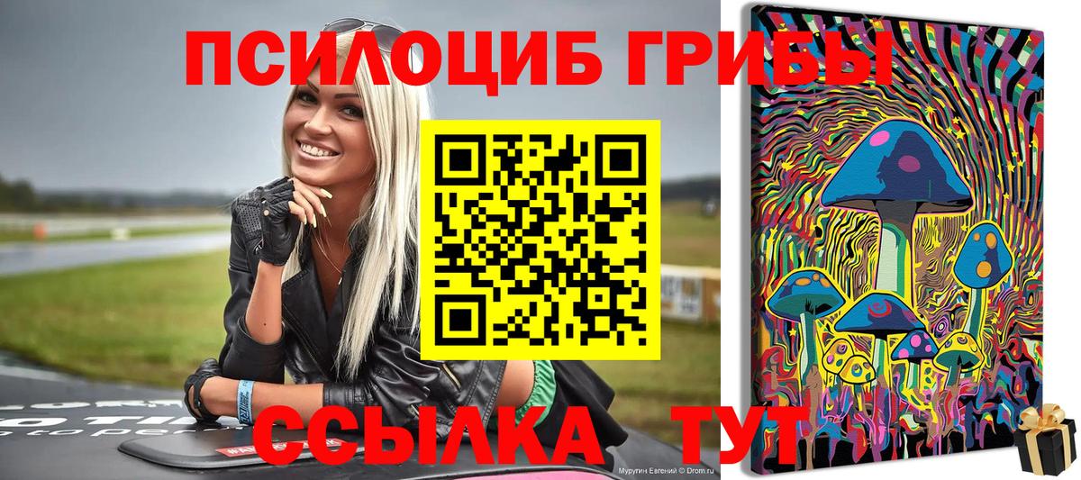 Йошкар-Ола  Галлюциногенные грибы мицелий  Вход с VPN 