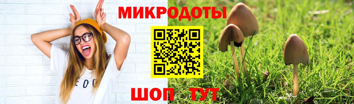 Псилоцибиновые грибы GOLDEN TEACHER Йошкар-Ола